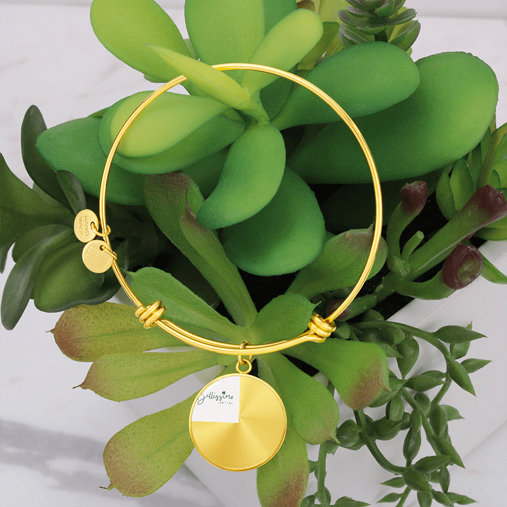 Luxury Circle Bangle